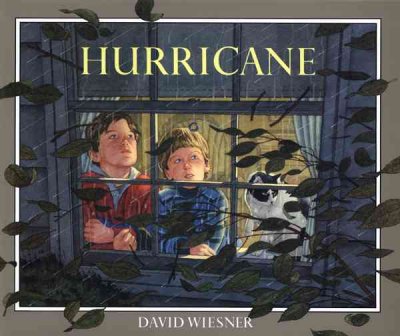 Hurricane / David Wiesner.