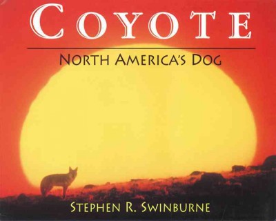 Coyote : North America's dog / by Stephen R. Swinburne.