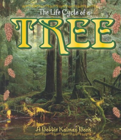 The life cycle of a tree / Bobbie Kalman & Kathryn Smithyman ; illustrations by Barbara Bedell.