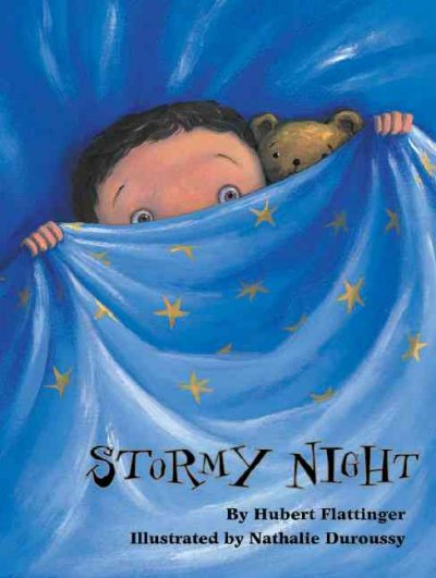 Stormy night / by Hubert Flattinger ; illustrated by Nathalie Duroussy ; translated by J. Alison James.
