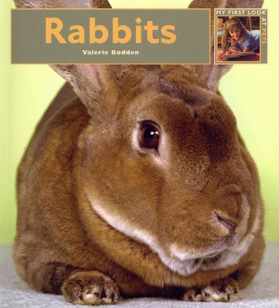 Rabbits / Valerie Bodden.