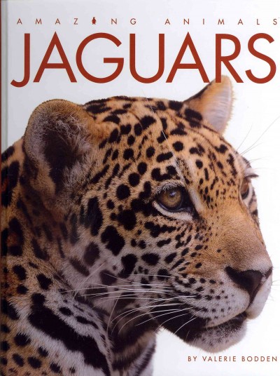 Jaguars / by Valerie Bodden.