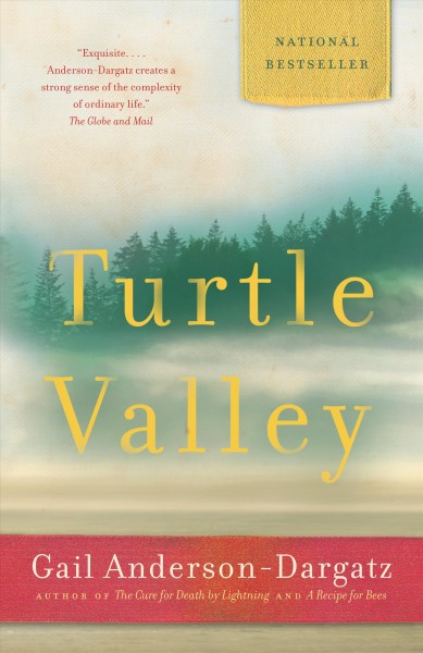 Turtle valley [electronic resource] / Gail Anderson-Dargatz.