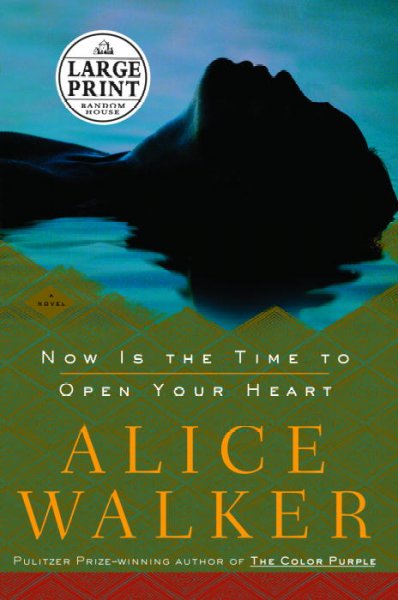 Now is the time to open your heart : a novel / Alice Walker