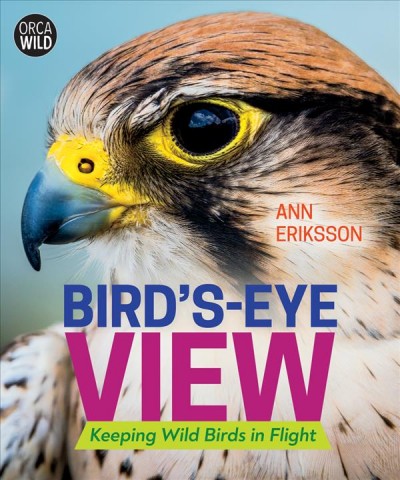 Bird's-eye view : keeping wild birds in flight / Ann Eriksson.