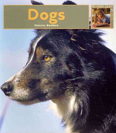 Dogs / Valerie Bodden.