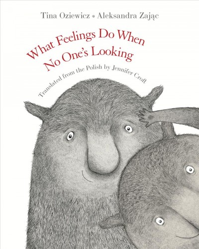 What feelings do when no one's looking / Tina Oziewicz ; illustrated by Aleksandra Zając ; translated from the Polish by Jennifer Croft.