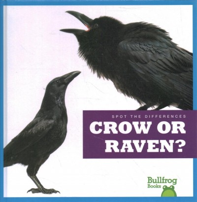 Crow or Raven?.