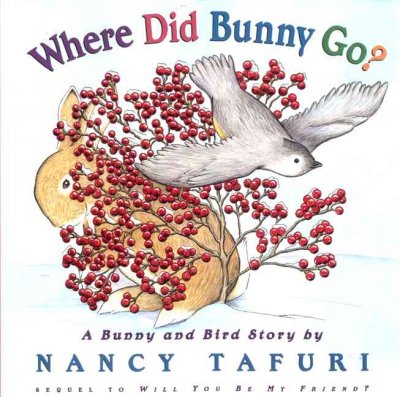 Where did Bunny go? : a bunny and bird story / by Nancy Tafuri.