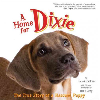 A home for Dixie : the true story of a rescued puppy / by Emma Jackson, with full-color photographs by Bob Carey.