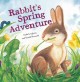 Rabbit's spring adventure  Cover Image