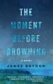 Go to record The moment before drowning : a novel