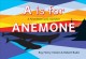 Go to record A is for anemone : a first West Coast alphabet